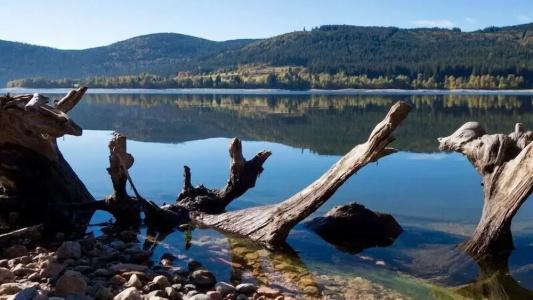 Wochner's-Sternen Am Schluchsee Hochschwarzwald - 15