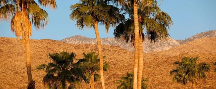 California - 13