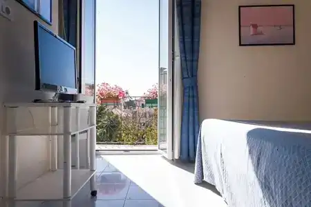 Stella - 46
