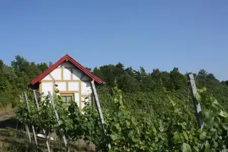 Schwarzer Adler - Garni - 5