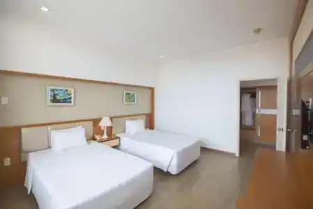 Sammy - 100
