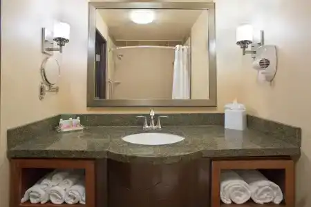 Holiday Inn & Suites Downtown, an IHG - 8