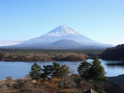 Shoji Mount - 49