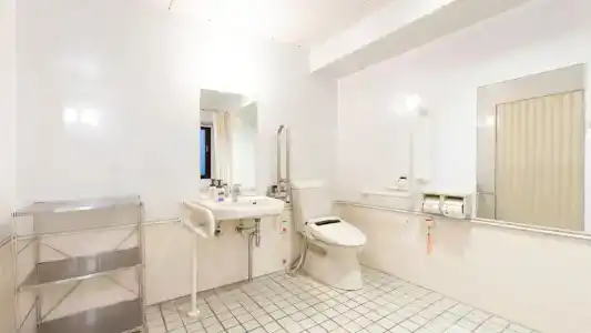 Toyoko Inn Shin-yokohama Ekimae Honkan - 81