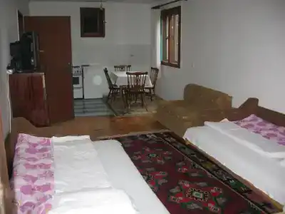 Guest house Pribojska Banja - 12