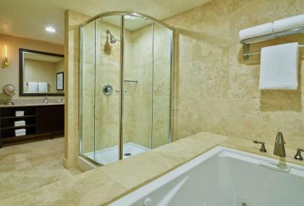 DoubleTree by Hilton Houston Intercontinental Airport - 8