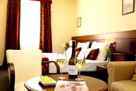 Oroszlános Borhotel - 9