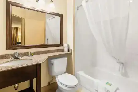 Comfort Inn 290/Nw - 58