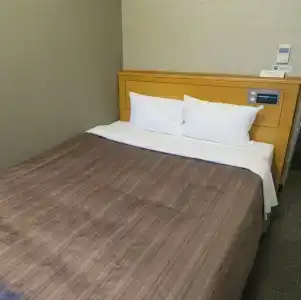 Route-Inn Hamamatsu Eki Higashi - 7