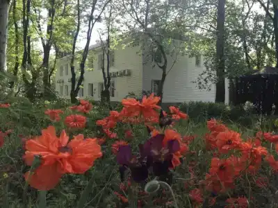 Классик - 11