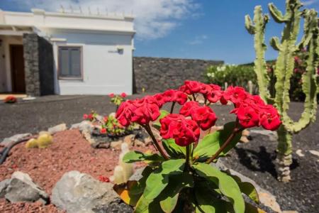 Villas Susaeta - 49
