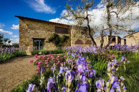 Borgo Del Cabreo - 126