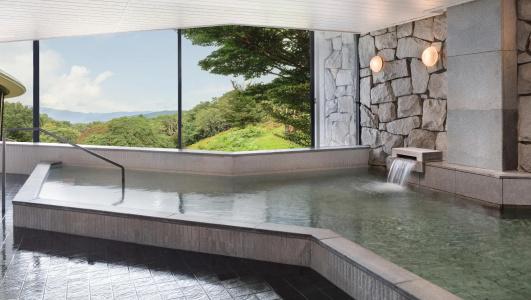 Izu Marriott Shuzenji - 17