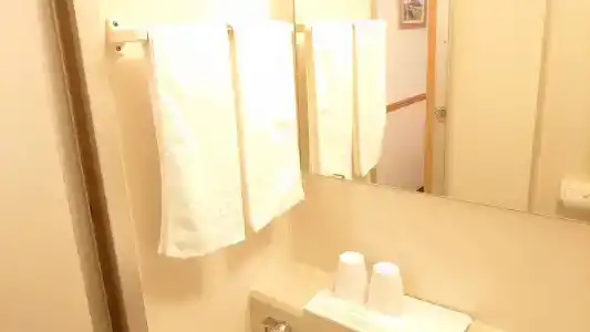 Toyoko Inn Temmonkan No.2 - 29