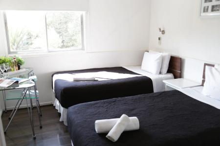Boutique Tremo - 3