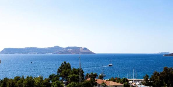 Cedrus Suites - 87