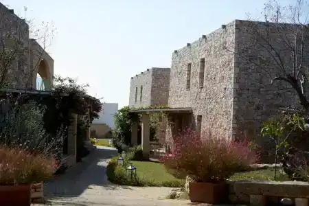 Montiro' - 33