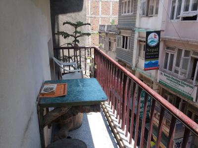 King's Land - 6