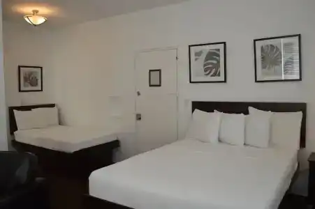 Marriott Vacation Club Pulse, South Beach - 45