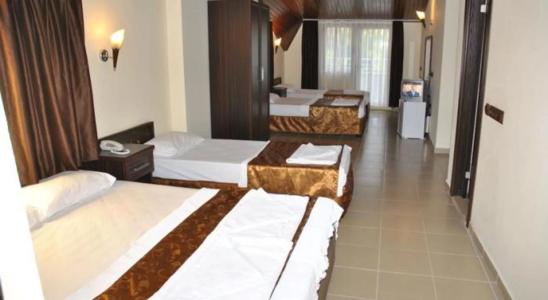 Green Palm - 5