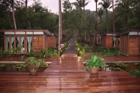 Jungle Koh - 55