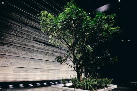 nol kyoto sanjo - 24