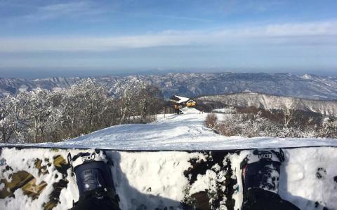 Address Nozawa - 22