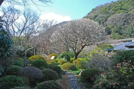 Yoshiike Ryokan - 41