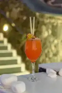 Pegasus Suites & Spa - 10