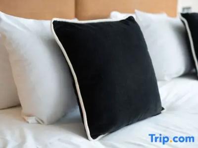 Mercure Antwerp City Centre - 287