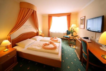 Tri- Wellnessam Schweizer Wald - 3