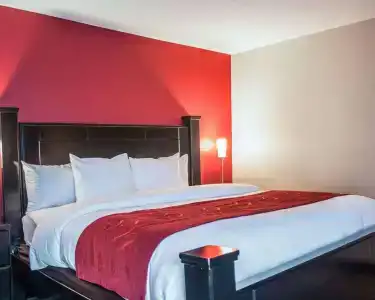 Comfort Suites Airport Nashville - 4