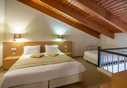 Domotel Anemolia Mountain Resort - 108
