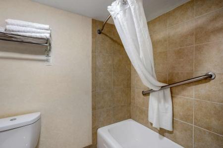 Best Western Inn of the Ozarks - 79