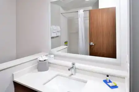 Holiday Inn Express Orlando - South Park, An Ihg - 82