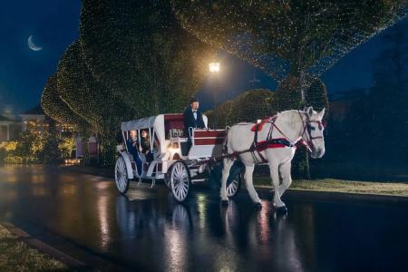 Gaylord Opryland Resort & Convention Center - 28