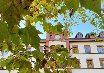 Odelya & Wildgarten Basel City - 42