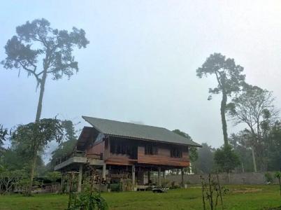 Chiang Dao Hut - 109