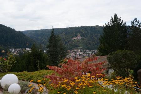 Hochwald - 25
