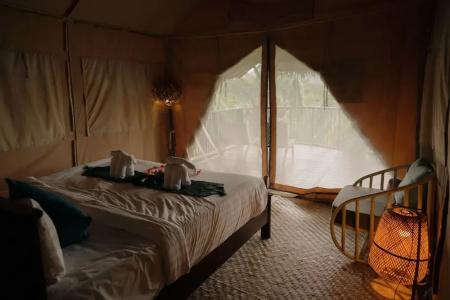Khaosok Boutique Camps - 168