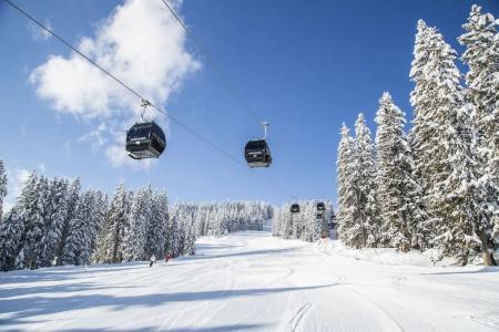 Almdorf Flachau - 20