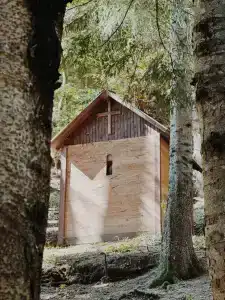 Nunisi Forest & SPA - 5