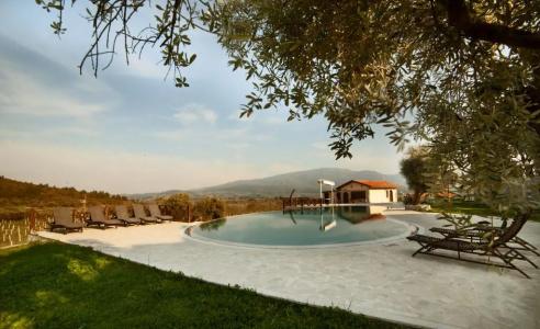 Vinifera Vineyards - 14