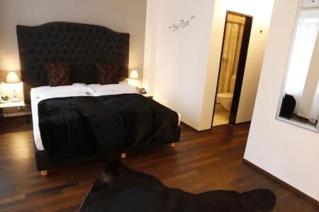 Boutique Weisses Kreuz - Adult only - 26