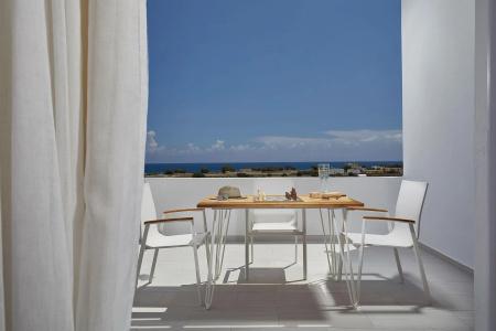 Petri Suites - 88