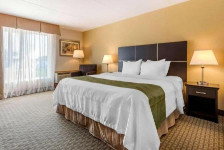 Quality Inn & Suites - 35
