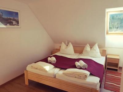 Gasperin Bohinj - 27