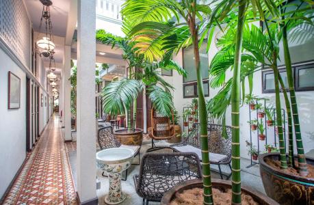 Areca Penang - 26