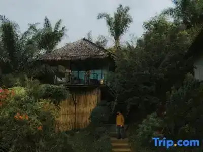Khaosok Boutique Camps - 33