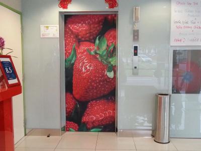 Strawberry Fields - 18